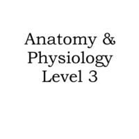 Anatomy & Physiology Course